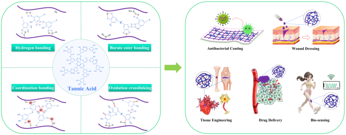 喜讯！3044永利集团刘阳课题组本科生在知名期刊Chemical Engineering Journal发表重要综述论文